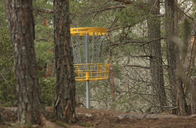 Disc Golf